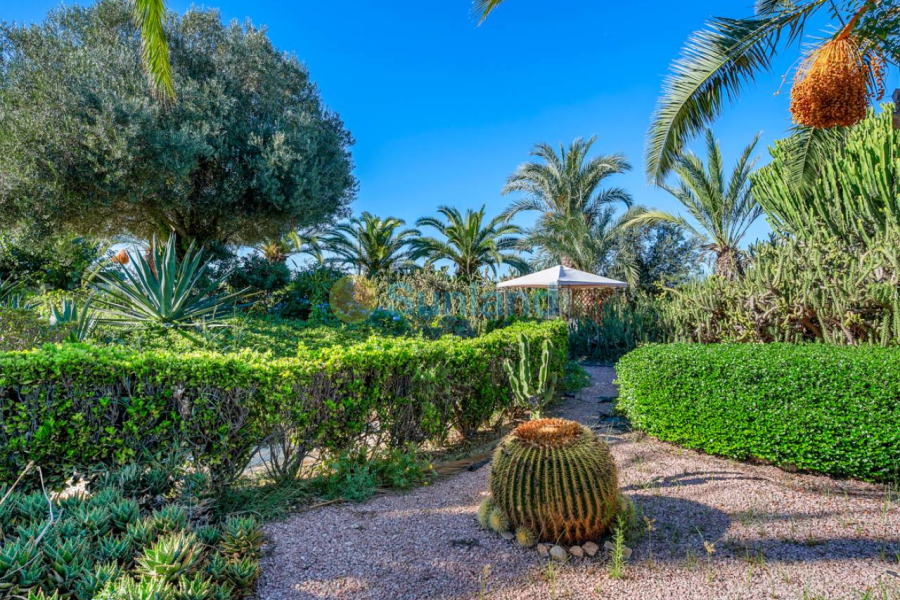 Segunda mano - Country house - Los Montesinos