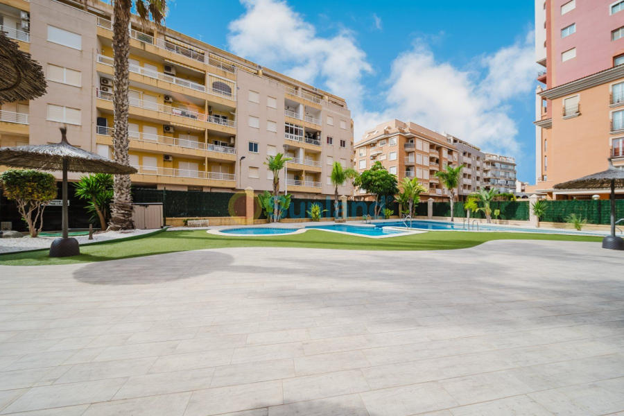 Brukte eiendommer - Apartamento - Torrevieja - Playa de Los Locos