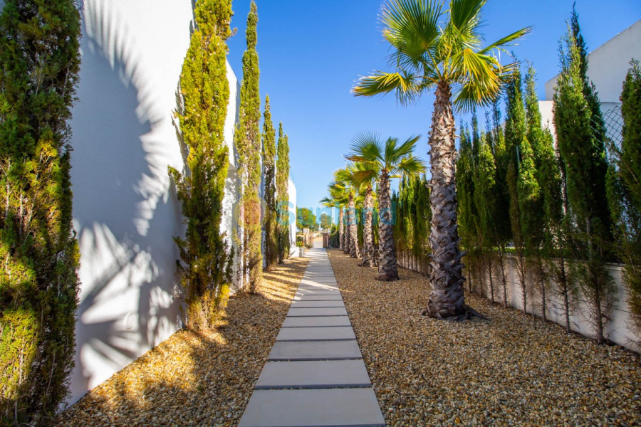 Segunda mano - Chalet - Orihuela - Las Colinas Golf