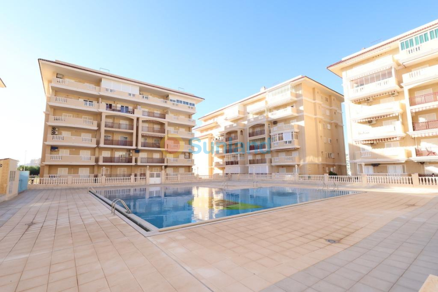 Resale - Apartment - Torrevieja - La Mata