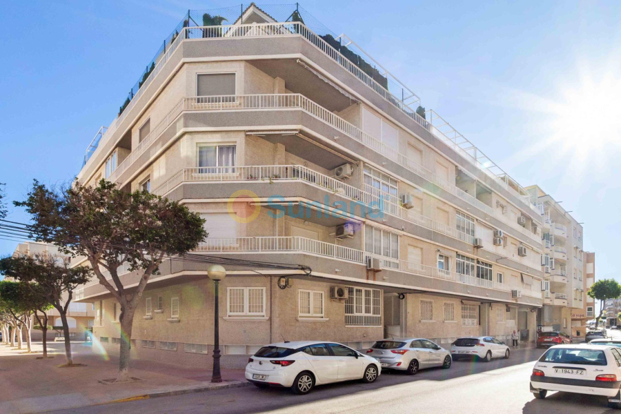 Verkauf - Apartment - Guardamar del Segura - Guardamar