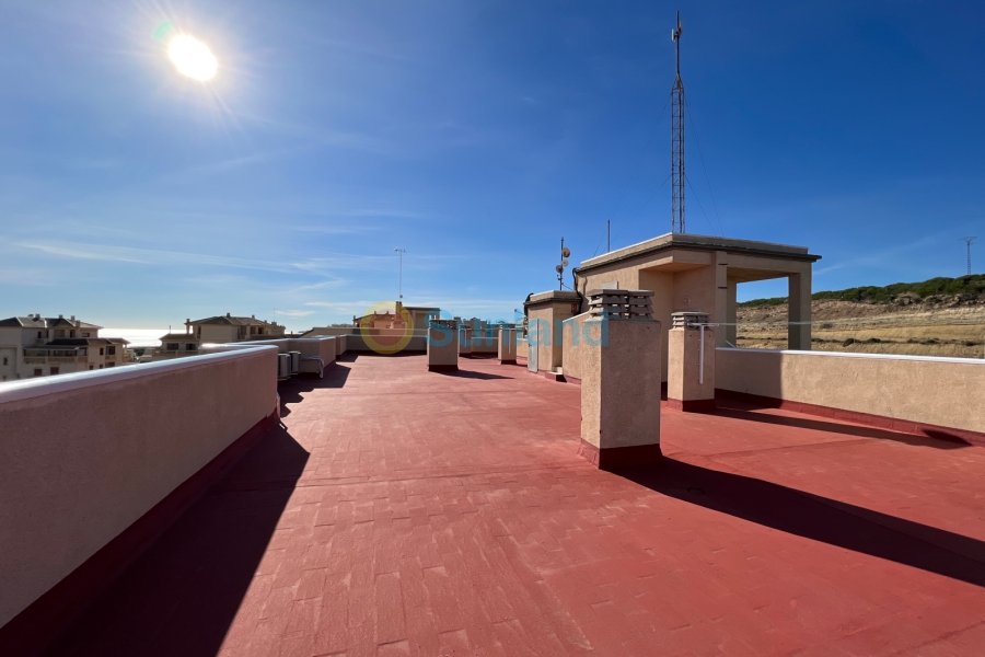 Resale - Apartment - Guardamar del Segura - El Moncayo