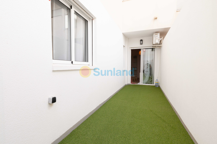 Använda fastigheter - Apartamento - Torrevieja