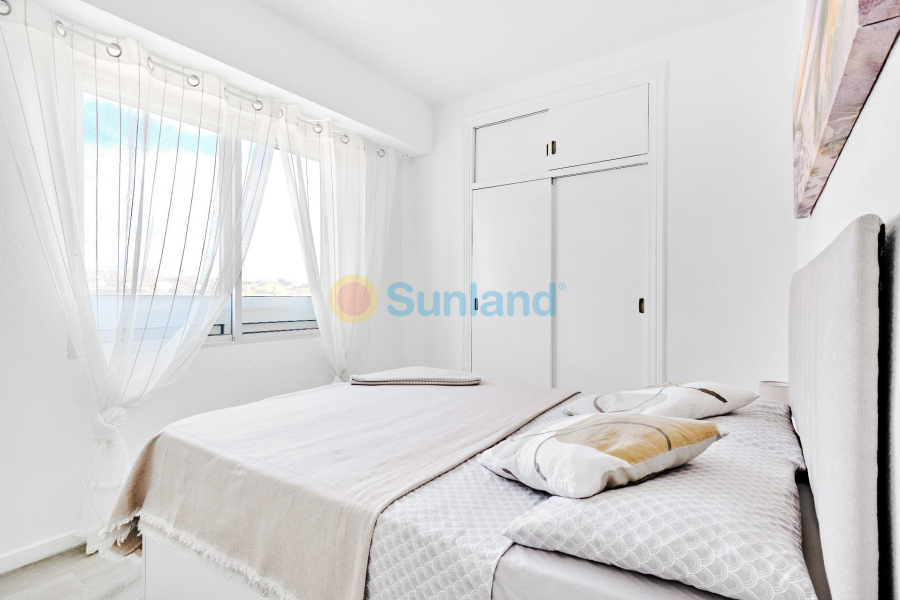 Segunda mano - Apartamento - Torrevieja - La Mata pueblo