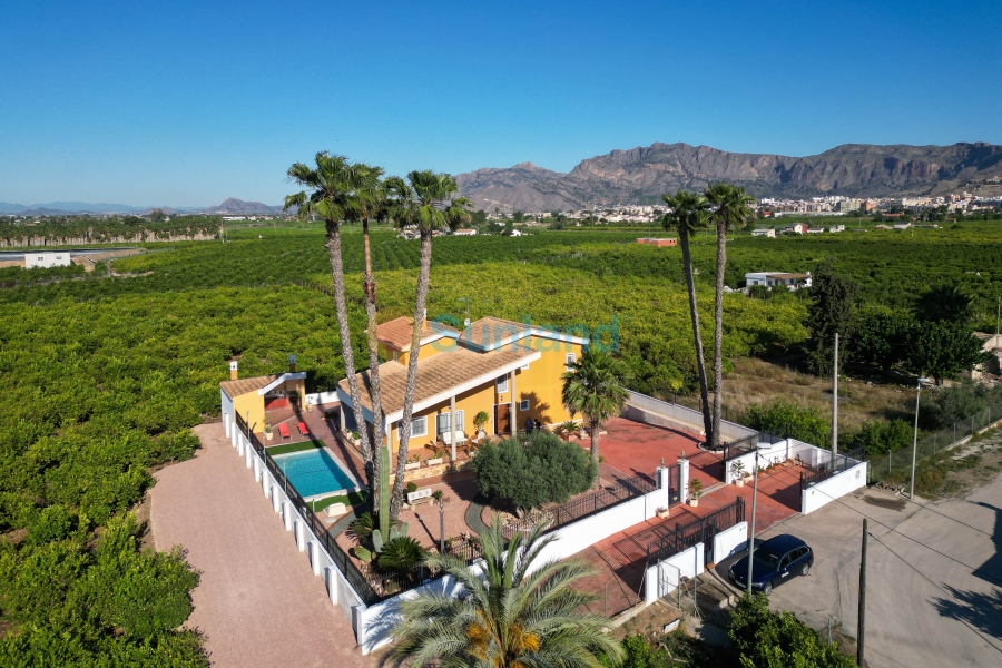 Använda fastigheter - Villa - Orihuela