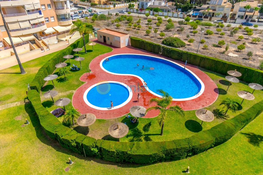 Verkauf - Apartment - Orihuela Costa - Campoamor