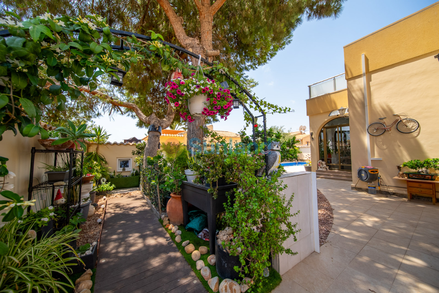 Brukte eiendommer - Villa - Orihuela Costa - La Florida