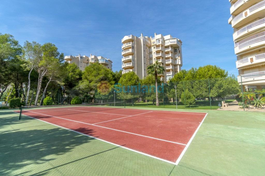 Resale - Apartment - Orihuela Costa - Altos de Campoamor