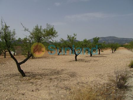 Resale - P - Murcia - 