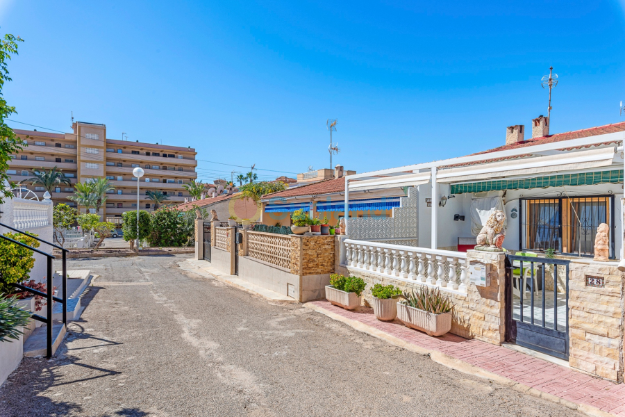 Verkauf - Bungalow - Guardamar del Segura - Guardamar Del Segura
