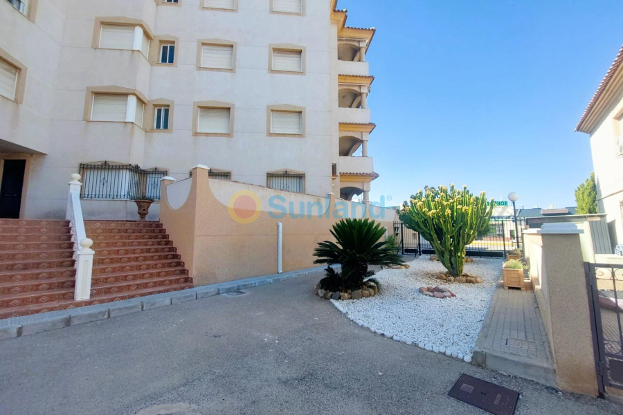 Segunda mano - Apartamento - Orihuela Costa - La Zenia