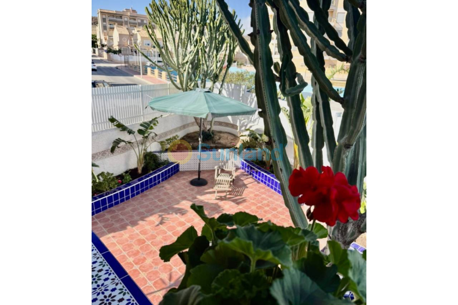 Resale - Villa - Guardamar del Segura - 