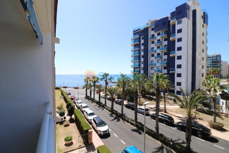 Segunda mano - Apartamento - Torrevieja - Punta Prima