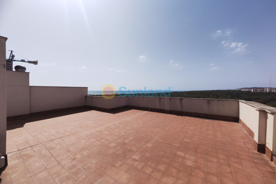 Resale - Apartment - Guardamar del Segura - 