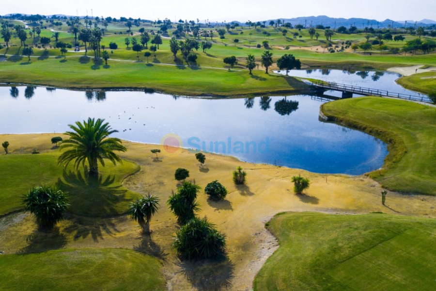 Neubau - Haus - Orihuela - Vistabella Golf