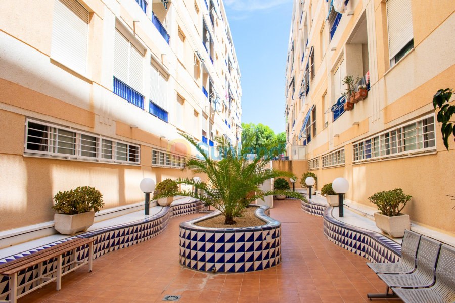 Resale - Apartment - Guardamar del Segura - 