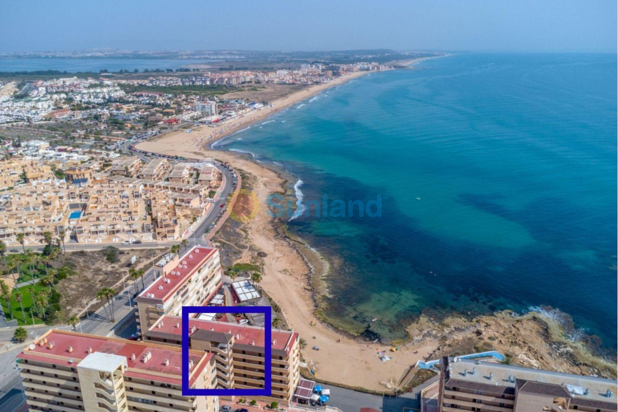 Segunda mano - Apartamento - Torrevieja - Cabo Cervera