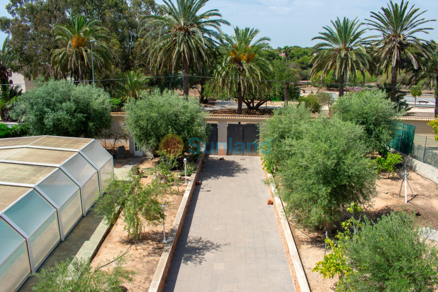 Segunda mano - Chalet - Orihuela Costa - Mil Palmeras