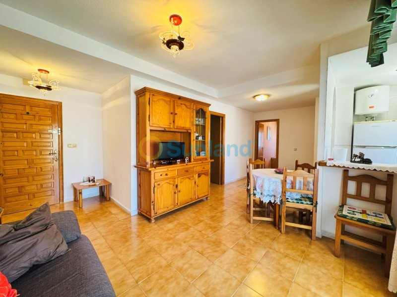 Verkauf - Apartment - La Mata
