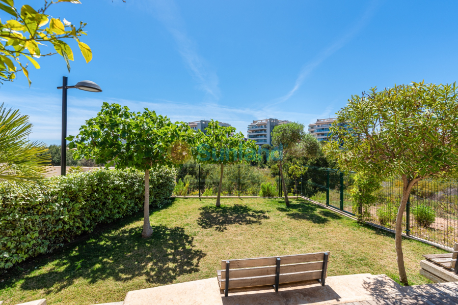 Segunda mano - Apartamento - Orihuela Costa - Los Dolses