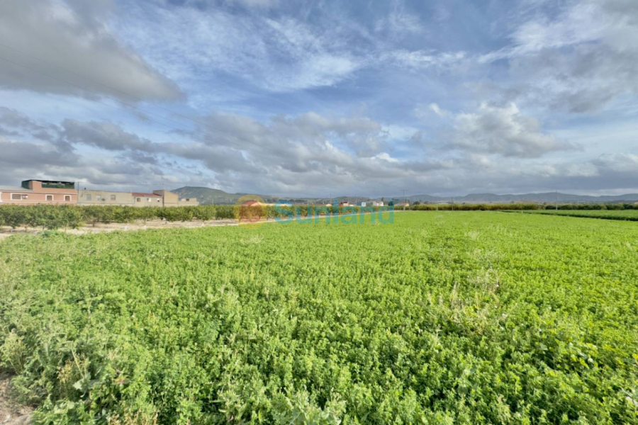 Segunda mano - Chalet - Orihuela