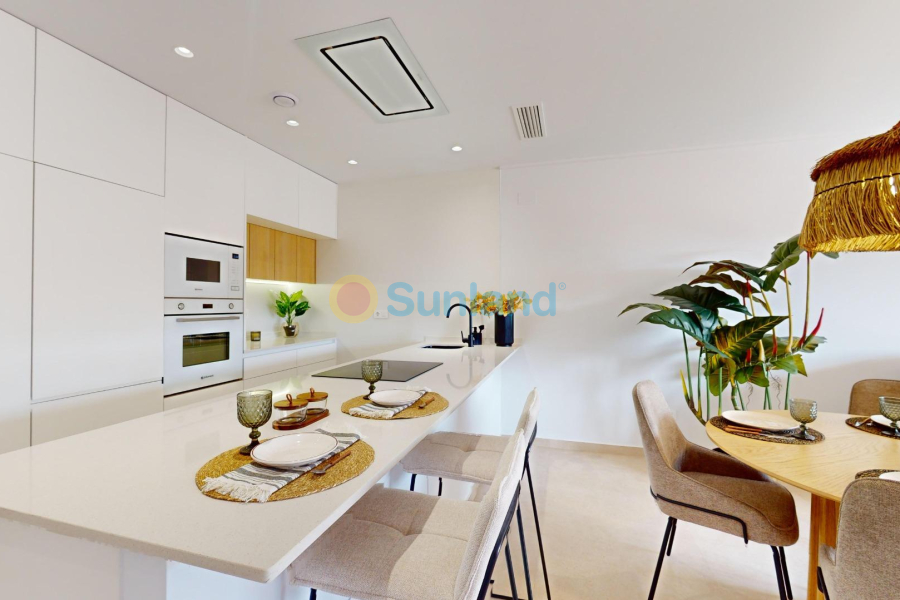 Ny bygg - Toppleilighet - Guardamar del Segura - El Raso