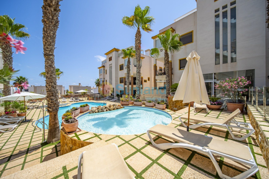 Segunda mano - Apartamento - Guardamar del Segura