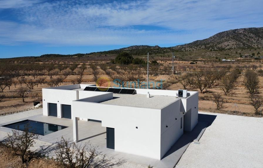 New Build - Villa - Pinoso - Campo