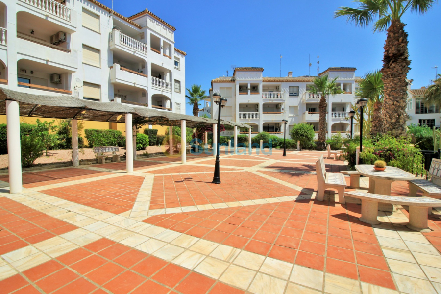 Segunda mano - Apartamento - Villamartin