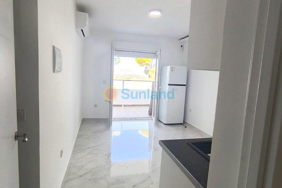 Använda fastigheter - Studio apartment - Ciudad Quesada - Upper Quesada