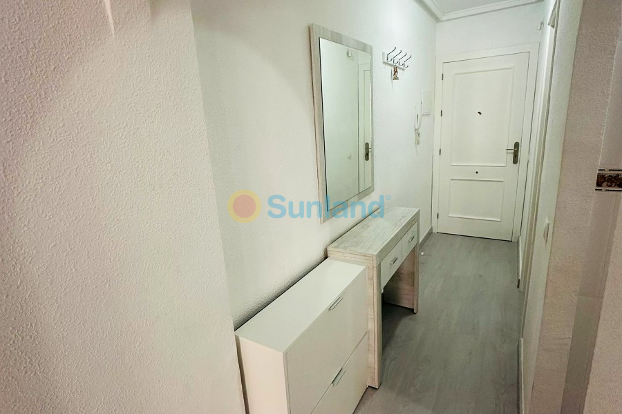 Brukte eiendommer - Leilighet - Torrevieja - Parque de las Naciones