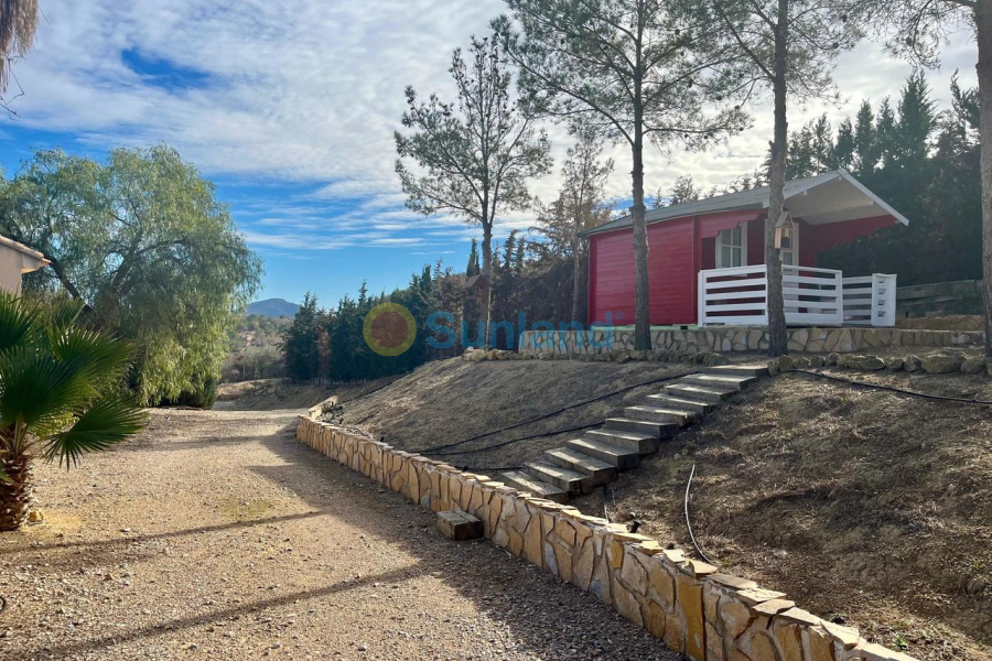 Segunda mano - C - El Esparragal