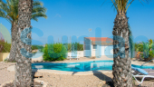 Resale - Villa - Guardamar del Segura - El Raso