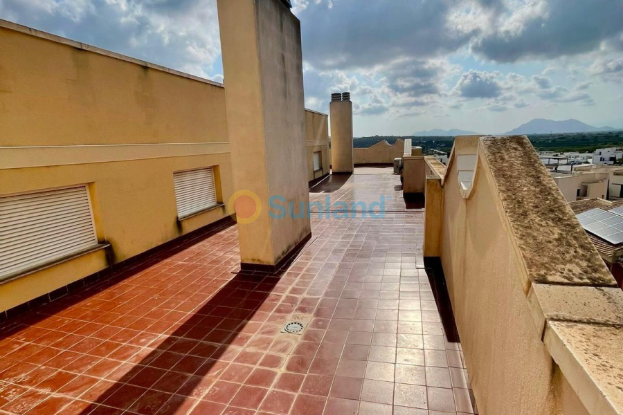 Segunda mano - A - Benijofar - Pueblo 4