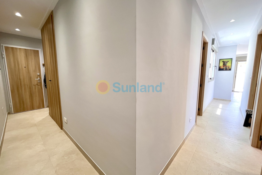 Segunda mano - P - Torre De La Horadada