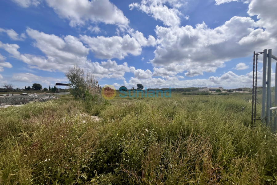 Använda fastigheter - P - Catral