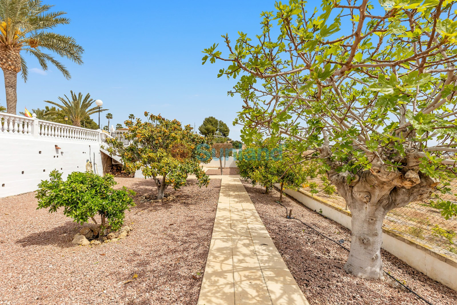 Resale - Villa - Albatera