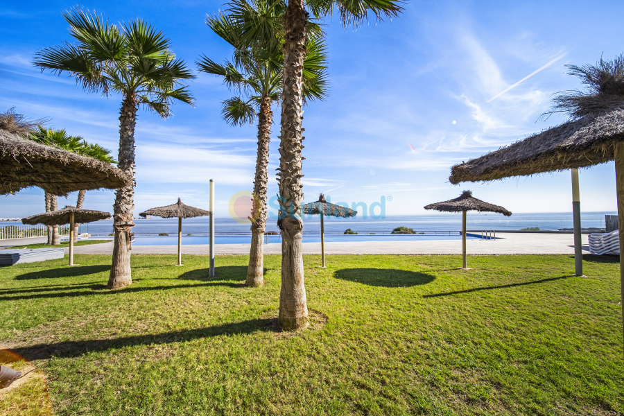 Resale - Apartamento - Torrevieja - Punta Prima