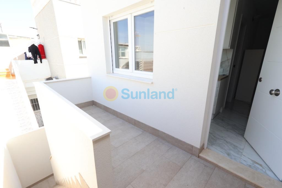 Segunda mano - T - Torrevieja - San Luis