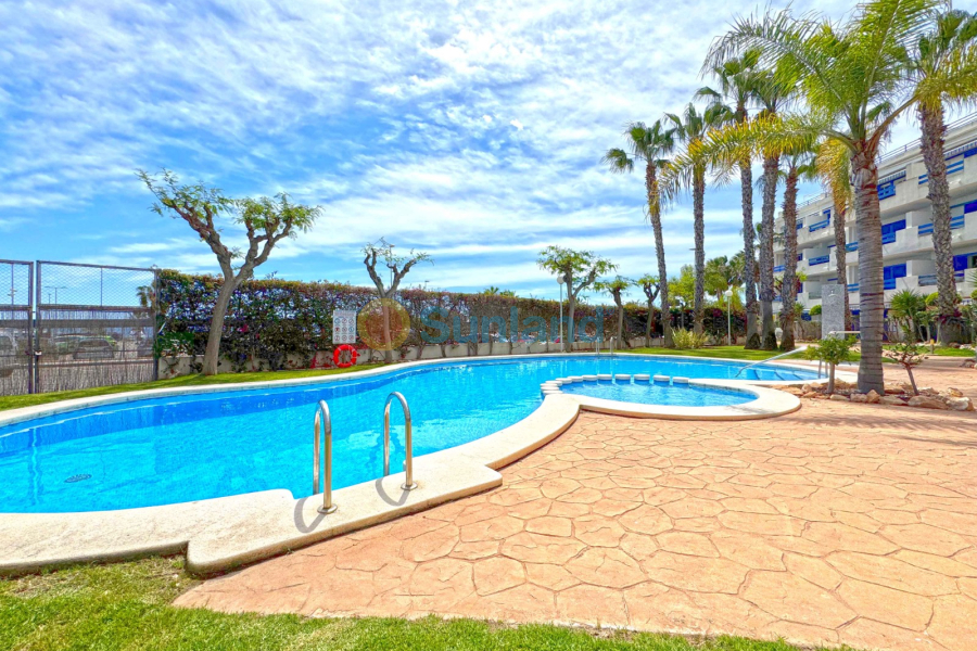 Segunda mano - Apartamento - Orihuela Costa - Playa Flamenca