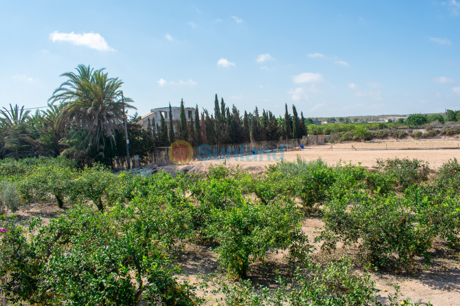 Segunda mano - Chalet - Guardamar del Segura - El Raso