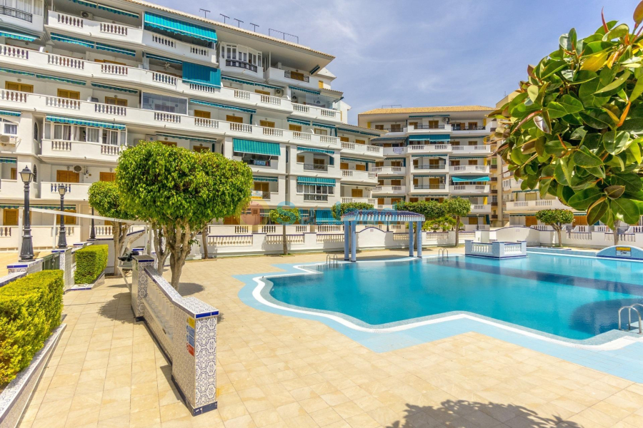 Segunda mano - Apartamento - Torrevieja - Los Europeos