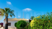 Resale - Villa - Guardamar del Segura - El Raso