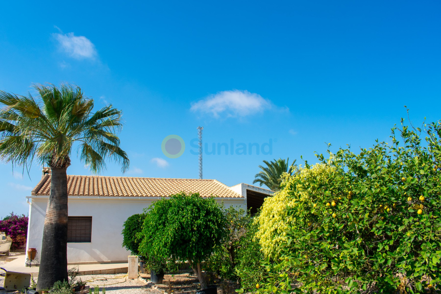 Segunda mano - Chalet - Guardamar del Segura - El Raso