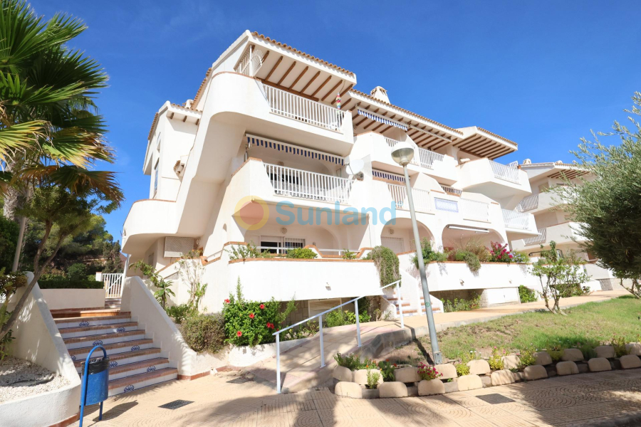 Segunda mano - Bungalow - Orihuela Costa - Campoamor