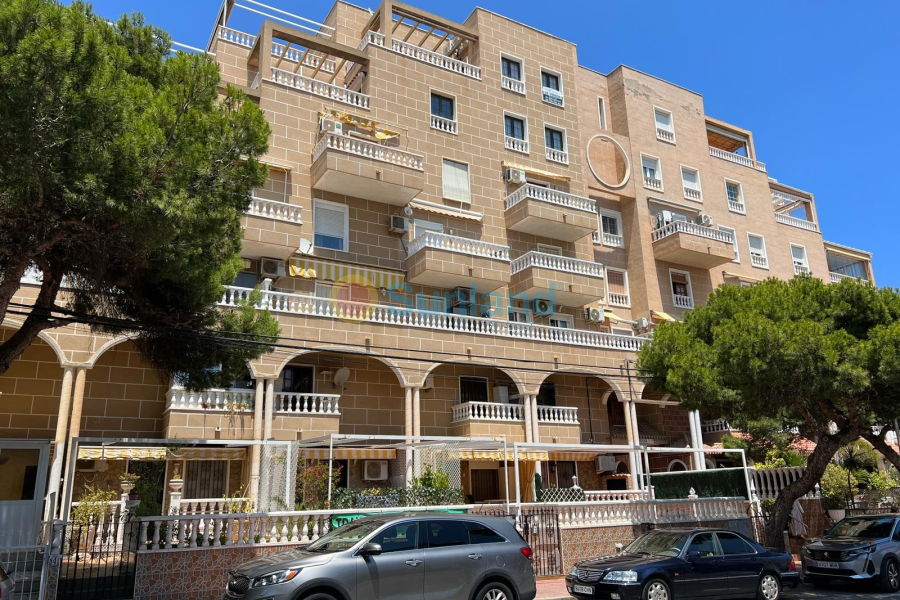 Brukte eiendommer - Apartment / flat - Punta Prima - Punta Prima Torrevieja