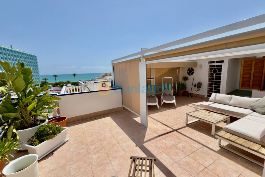 Resale - Villa - Guardamar del Segura - 