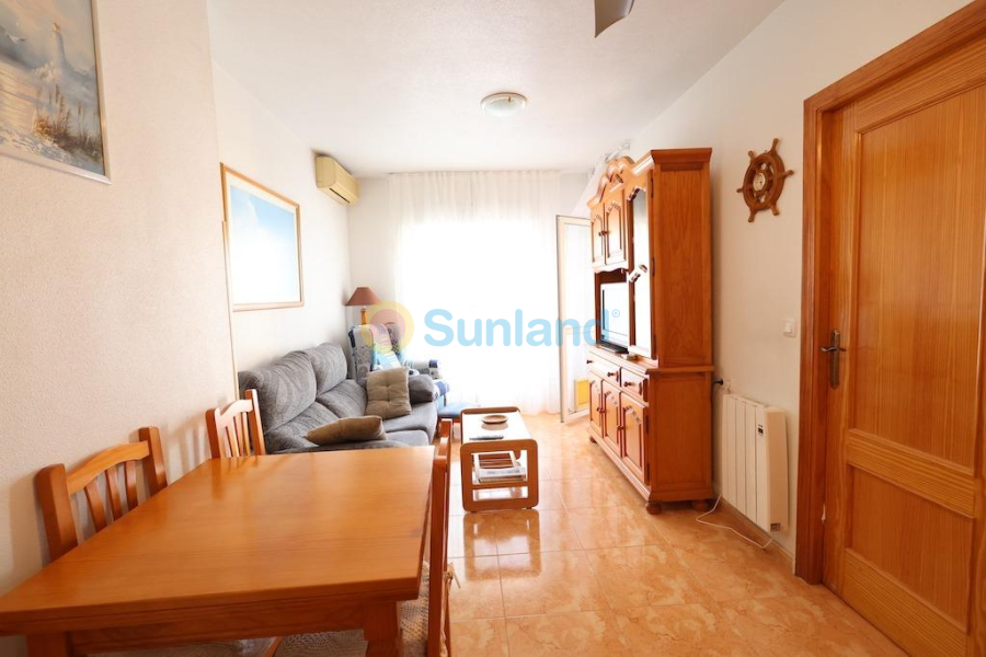 Segunda mano - Apartamento - Torrevieja - Acequion