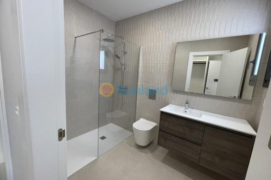 Ny bygg - Villa - Almoradí - Heredades