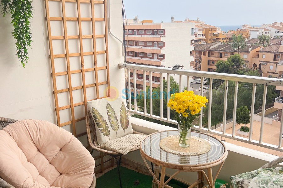 Вторичка - Апартамент - Orihuela Costa - Punta Prima